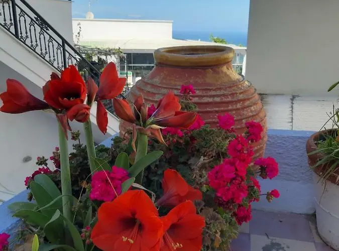 卡捷琳娜卡费里公寓 菲罗斯特法尼